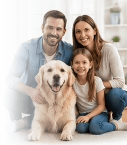 bg-services